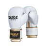 Boxing Gloves GS- 304